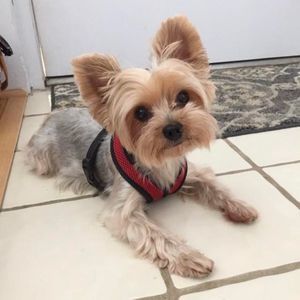 Meet your Posher, Sandra